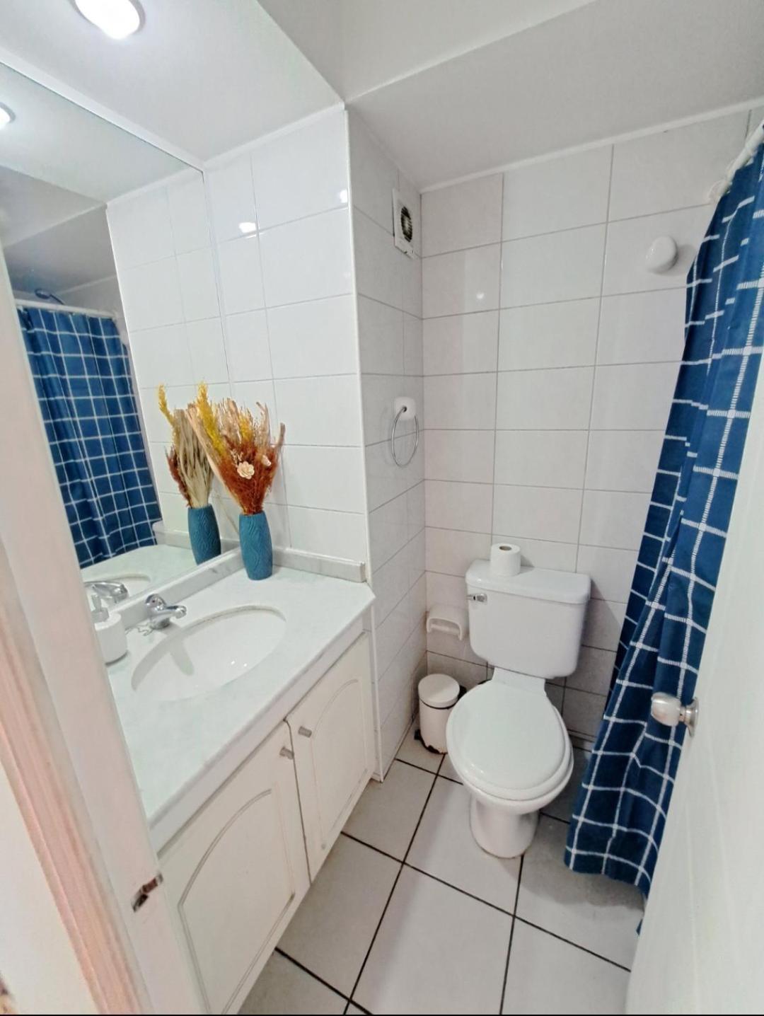 Depto Moneda Lord Cochrane Comodo Apartment Santiago